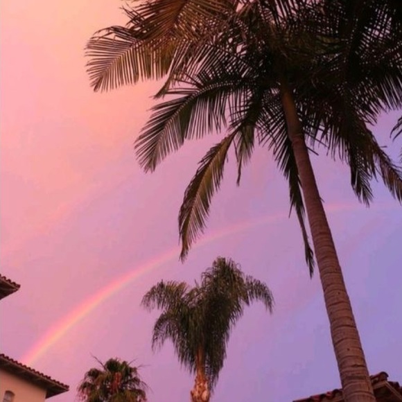 Meet your Posher, Ruby - Picture 2 of 2